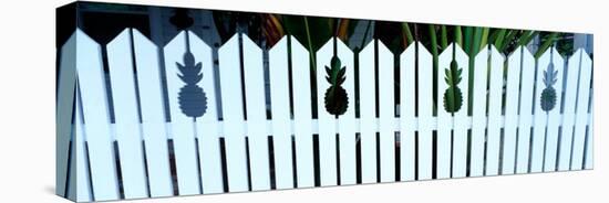 Fence with Pinapples, Key West, Florida Keys, Florida, USA-Terry Eggers-Stretched Canvas