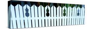 Fence with Pinapples, Key West, Florida Keys, Florida, USA-Terry Eggers-Stretched Canvas