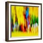 Fence-Ursula Abresch-Framed Photographic Print