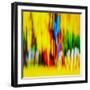 Fence-Ursula Abresch-Framed Photographic Print