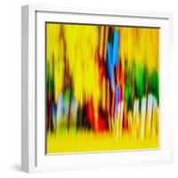 Fence-Ursula Abresch-Framed Photographic Print