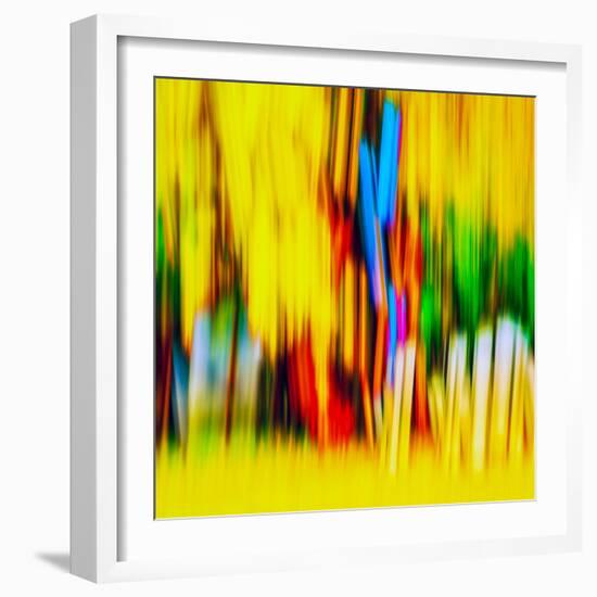 Fence-Ursula Abresch-Framed Photographic Print