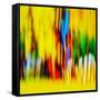 Fence-Ursula Abresch-Framed Stretched Canvas