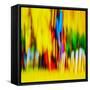 Fence-Ursula Abresch-Framed Stretched Canvas