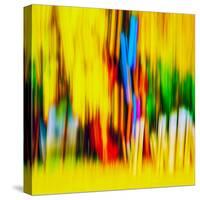 Fence-Ursula Abresch-Stretched Canvas