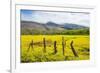 Fenced Field of Yellow Flowers, Island of Molokai, Hawaii, United States of America, Pacific-Michael Runkel-Framed Photographic Print