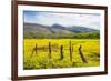 Fenced Field of Yellow Flowers, Island of Molokai, Hawaii, United States of America, Pacific-Michael Runkel-Framed Photographic Print