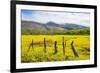 Fenced Field of Yellow Flowers, Island of Molokai, Hawaii, United States of America, Pacific-Michael Runkel-Framed Photographic Print