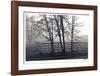 Fenced Fog-Donald Satterlee-Framed Giclee Print