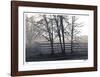 Fenced Fog-Donald Satterlee-Framed Giclee Print