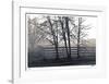 Fenced Fog-Donald Satterlee-Framed Giclee Print