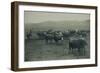 Fenced In Cattlemen-D. Marsh-Framed Art Print