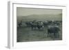 Fenced In Cattlemen-D. Marsh-Framed Art Print