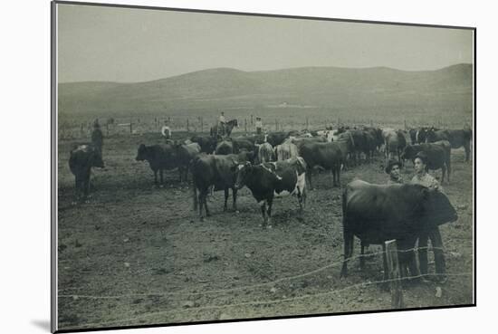 Fenced In Cattlemen-D. Marsh-Mounted Art Print