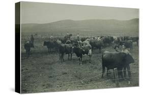 Fenced In Cattlemen-D. Marsh-Stretched Canvas