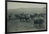 Fenced In Cattlemen-D. Marsh-Framed Art Print