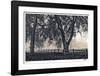 Fenced In Fog-Donald Satterlee-Framed Giclee Print