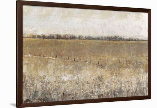 Fenced in I-Tim O'toole-Framed Art Print