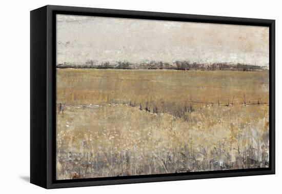 Fenced in II-Tim O'toole-Framed Stretched Canvas