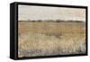 Fenced in II-Tim O'toole-Framed Stretched Canvas