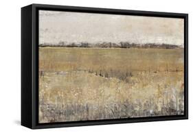 Fenced in II-Tim O'toole-Framed Stretched Canvas