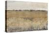 Fenced in II-Tim O'toole-Stretched Canvas