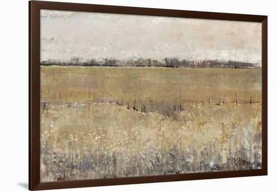 Fenced in II-Tim O'toole-Framed Art Print