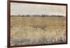 Fenced in II-Tim O'toole-Framed Art Print