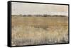 Fenced in II-Tim O'toole-Framed Stretched Canvas