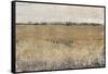 Fenced in II-Tim O'toole-Framed Stretched Canvas