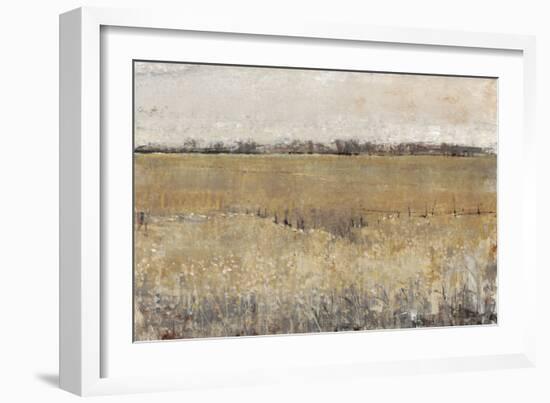 Fenced in II-Tim O'toole-Framed Art Print