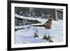 Fenceline Strut-Wilhelm Goebel-Framed Giclee Print