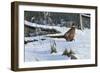 Fenceline Strut-Wilhelm Goebel-Framed Premium Giclee Print