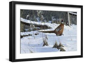 Fenceline Strut-Wilhelm Goebel-Framed Premium Giclee Print