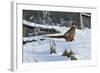 Fenceline Strut-Wilhelm Goebel-Framed Giclee Print