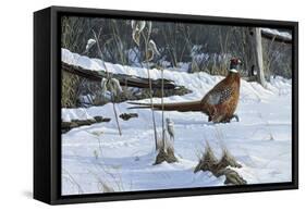 Fenceline Strut-Wilhelm Goebel-Framed Stretched Canvas