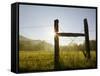 Fencepost at Sunrise, Cades Cove, Great Smoky Mountains National Park, Tennessee, Usa-Adam Jones-Framed Stretched Canvas
