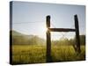 Fencepost at Sunrise, Cades Cove, Great Smoky Mountains National Park, Tennessee, Usa-Adam Jones-Stretched Canvas