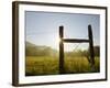 Fencepost at Sunrise, Cades Cove, Great Smoky Mountains National Park, Tennessee, Usa-Adam Jones-Framed Photographic Print