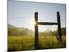 Fencepost at Sunrise, Cades Cove, Great Smoky Mountains National Park, Tennessee, Usa-Adam Jones-Mounted Photographic Print