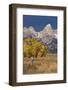 Fencepost, cottonwood trees and Teton Range in autumn, Grand Teton National Park.-Adam Jones-Framed Photographic Print