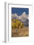 Fencepost, cottonwood trees and Teton Range in autumn, Grand Teton National Park.-Adam Jones-Framed Photographic Print