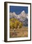 Fencepost, cottonwood trees and Teton Range in autumn, Grand Teton National Park.-Adam Jones-Framed Photographic Print