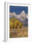 Fencepost, cottonwood trees and Teton Range in autumn, Grand Teton National Park.-Adam Jones-Framed Photographic Print