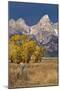 Fencepost, cottonwood trees and Teton Range in autumn, Grand Teton National Park.-Adam Jones-Mounted Photographic Print