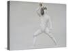 Fencer-Lincoln Seligman-Stretched Canvas