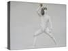 Fencer-Lincoln Seligman-Stretched Canvas