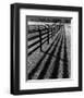 Fences and Shadows, Florida-Monte Nagler-Framed Art Print