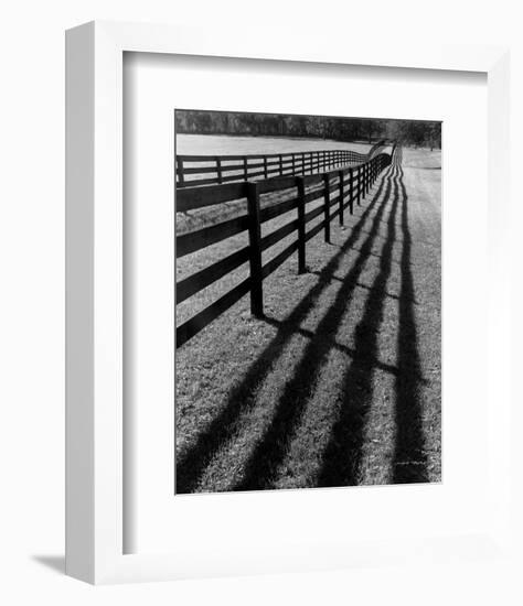 Fences and Shadows, Florida-Monte Nagler-Framed Art Print