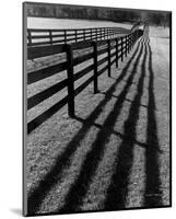 Fences and Shadows, Florida-Monte Nagler-Mounted Art Print